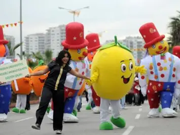 harvest festivals - orange festival