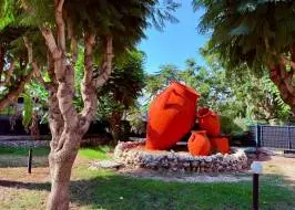 photo_2025-07-23_10-52-07_original