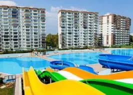 liparis-7-8_original