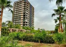 msg735521735-177998_original