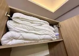 WhatsApp_Image_2025-06-13_at_04.27.38_4_original