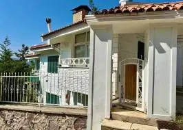 WhatsApp_Image_2025-05-08_at_20.52.49_2_original