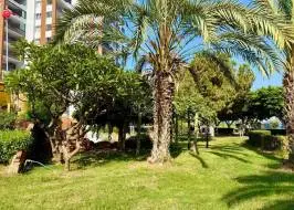 photo_2025-07-23_10-51-59_original