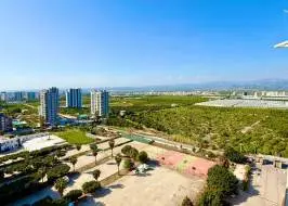 AS311516v27_original