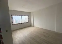 msg735521735-148565_original