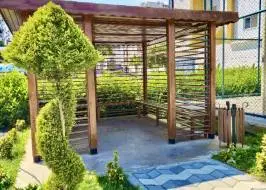 IMG_3628_original_copy_1_copy_1