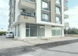 20220615_175616_original