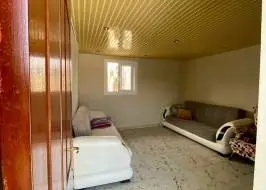 photo_2025-09-26_21-26-59_original