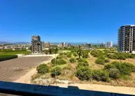 photo_2025-06-26_12-06-36_original