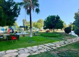 photo_2025-07-08_13-38-36_original