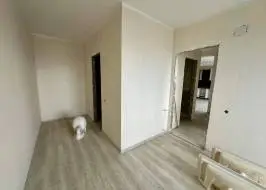 photo_2025-10-09_11-37-46_original