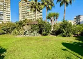 AS311516v42_original