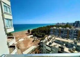 photo_2025-07-08_13-38-12_original