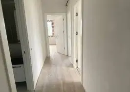 msg735521735-148570_original