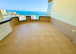 AS311516v24_original