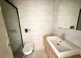 Aa37381wv17_original