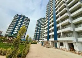 IMG_3972_original_original