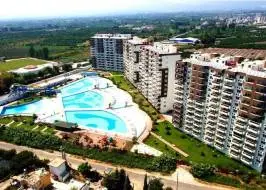 liparis-7-1_original