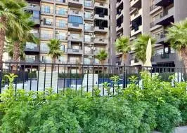 photo_2025-08-26_21-15-19_original