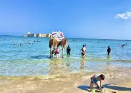 _JPEG-48E3-A082-1E-8_original