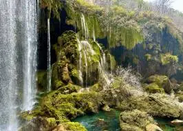 _JPEG-42F5-AC53-AC-9_Riginal