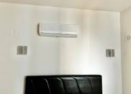 WhatsApp_Image_2024-01-24_at_12.39.31_4_original