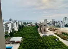 msg735521735-156652_original