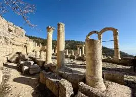 IMG_0462_original_original