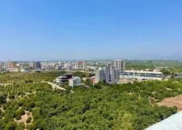 photo_2025-07-31_12-10-17_original_copy_1