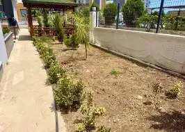 photo_2025-08-11_19-10-53_original