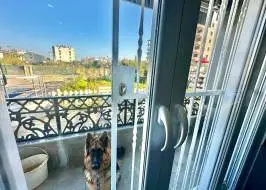 msg735521735-166388_original