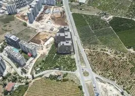 AA01010v24_original_original