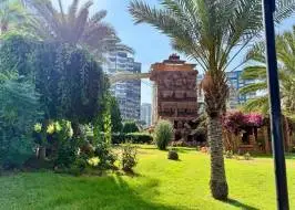 photo_2025-07-23_10-51-56_original