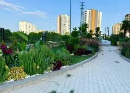 photo_2025-08-26_21-15-12_original